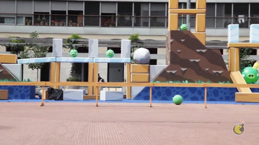Video: Reales Angry Birds - überlebensgroß
