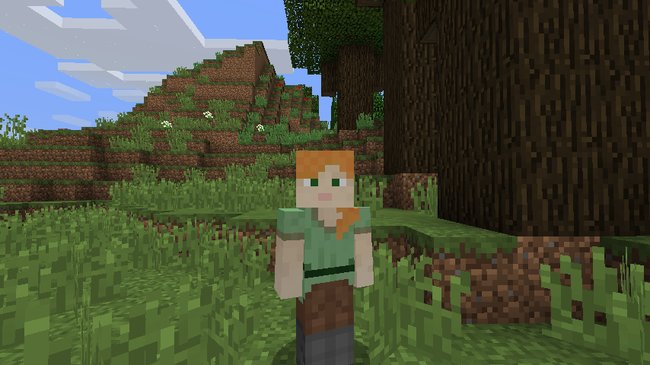Minecraft 1.8: Alex mit den dünnen Armen