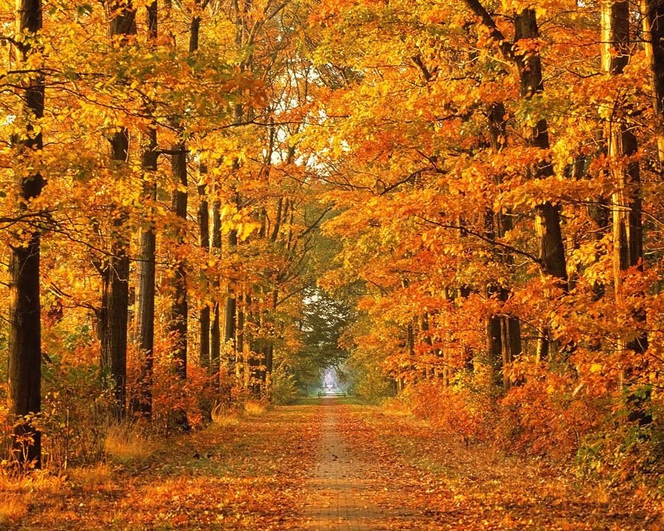 Der goldene Oktober