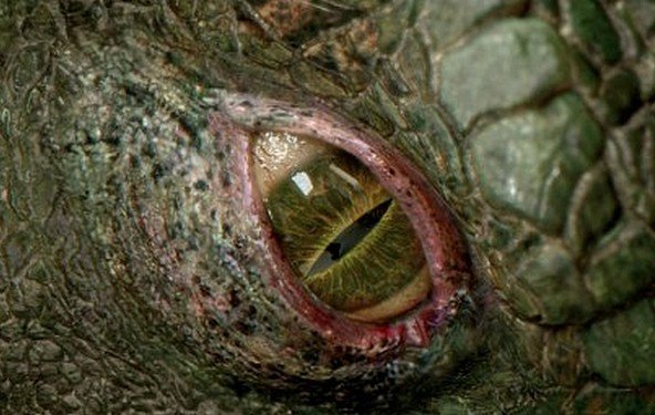The Amazing Spider-Man – 25 neue Bilder & die Mark of the Spider-Man-Seite