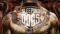Sleeping Dogs