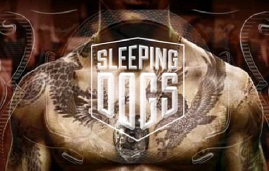 Sleeping Dogs: Entwickler plaudern über das Setting