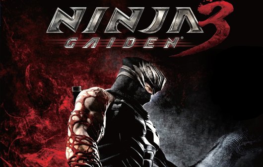 Ninja Gaiden 3 Test Ninja Meiden