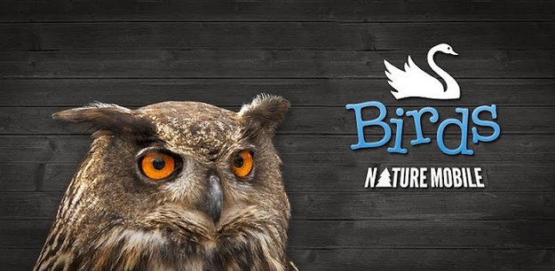 Vogelführer - Vögel bestimmen und mehr