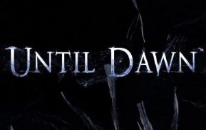 Until Dawn