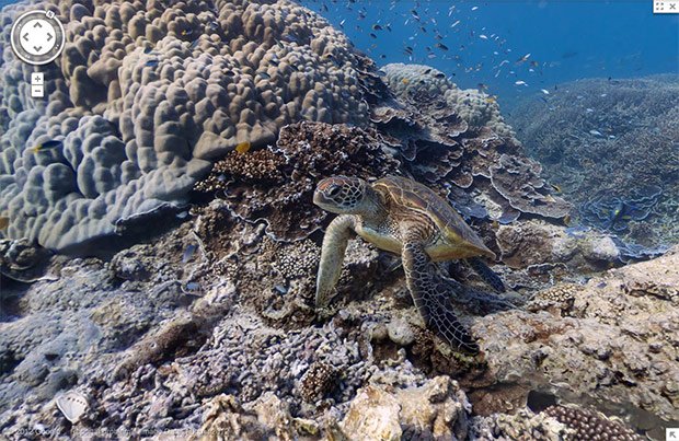 Aus Google Street View wird Google „Sea“ View