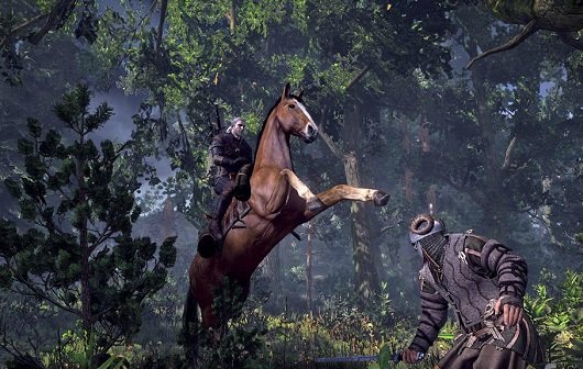 The Witcher 3: CD Projekt ist "extrem ehrgeizig" in Sachen Story