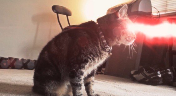 X-Men Origins: Cyclops Cat