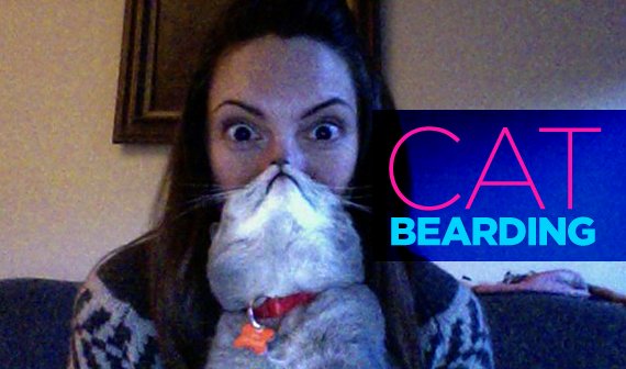 Cat Bearding: Gesichtsbehaarung der felinen Art