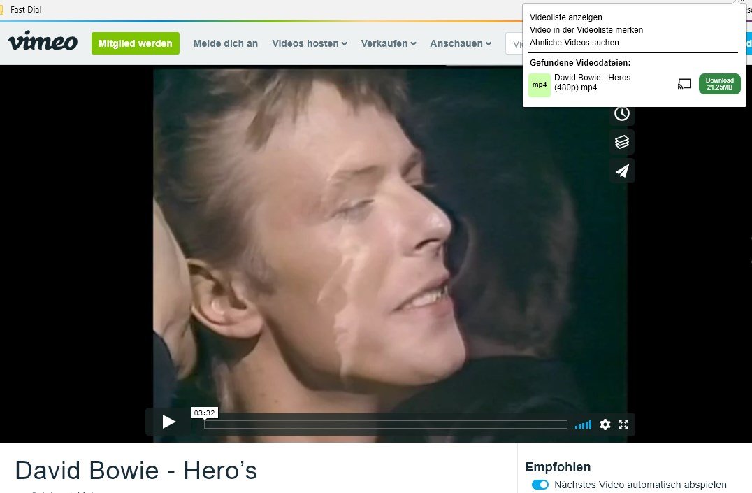 Chrome VideoDownloader für jede Webseite