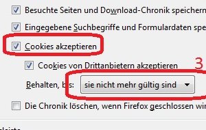 Firefox Cookies löschen, anzeigen und verwalten: Das Browser-Gedächtnis