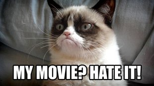 Grumpy Cat: Welche Rasse, wann kommt der Film?