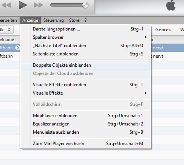 iTunes Duplikate löschen