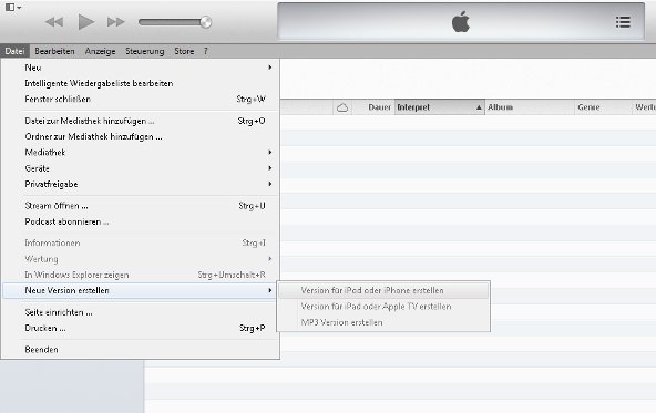 iTunes Videoformate Screenshot