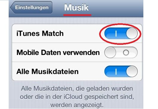 iTunes Match Screenshot