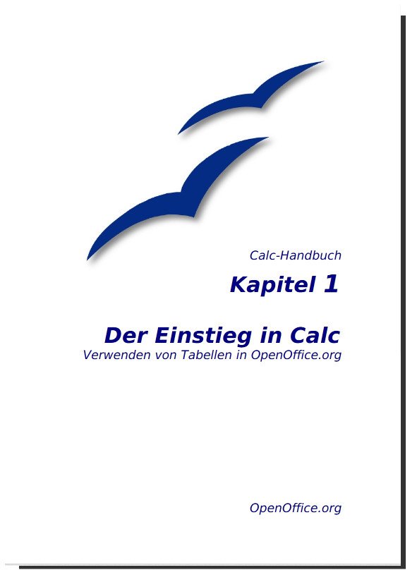 OpenOffice Calc Handbuch Kapitel 1