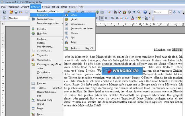 OpenOffice Datum einfügen Screenshot