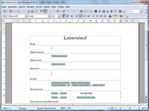 OpenOffice Lebenslauf schreiben