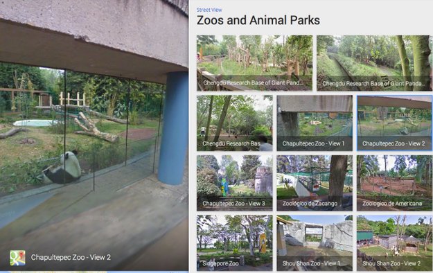 Google macht es möglich - endlich Zoobesuch vom Sofa!