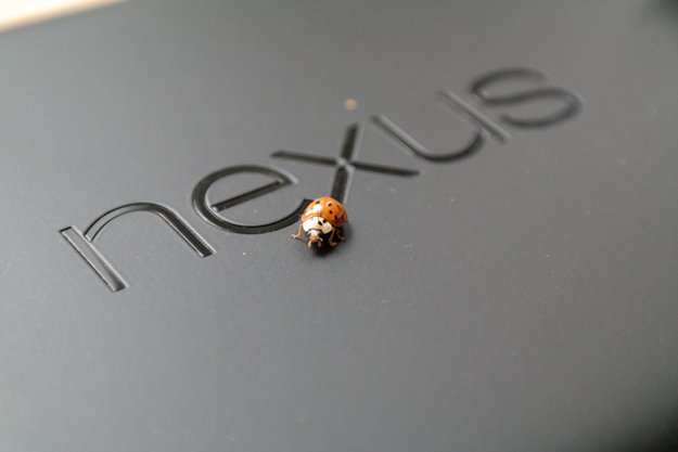 Nexus 7 2013: Displayprobleme und weitere Bugs