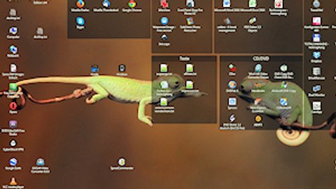Kostenlos downloaden hintergrundbilder desktop Kostenlose Wallpaper