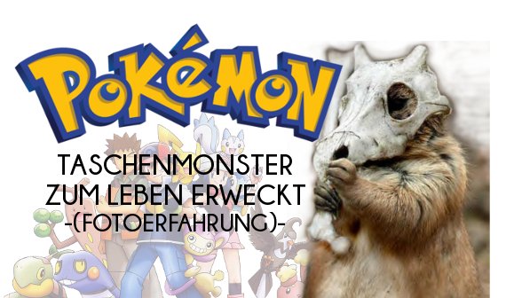 Pokémon: Taschenmonster zum Leben erweckt - Die Fotoerfahrung