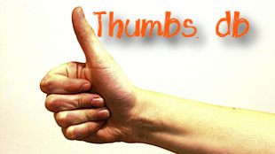 Wie kann man Thumbs.db deaktivieren und welchen Zweck hat sie?