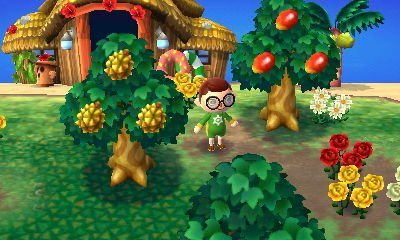 Animal Crossing: New Leaf Fremde Früchte