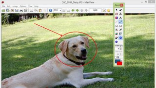 IrfanView PlugIns