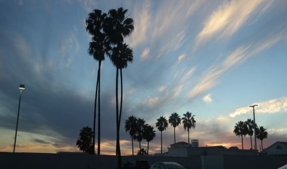 Off-Topic: Los Angeles, eine erste Bestandsaufnahme
