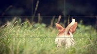 Goldener Schnitt - Fotografie