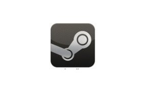 Steam