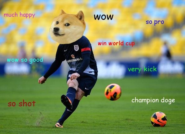 doge-fussball