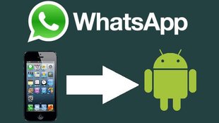 Wazzap Migrator: Download, Einrichtung und Anleitung