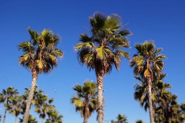 Zurück aus Los Angeles – Meine Nachrede zur Stadt der Engel