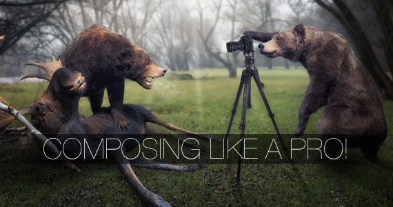 Mutter-Natur trifft Photoshop! Geniale Composings!