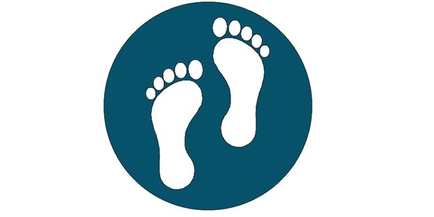 Pedometer: Schrittzähler-App mit Gamification-Feature für das Nexus 5