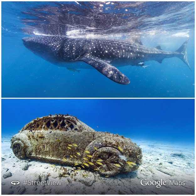 Phantastische Unterwasseraufnahmen: Google Street View taucht ab!
