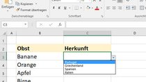 Excel: Dropdown-Liste erstellen (Auswahlliste) – so geht's