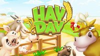 Hay Day Tipps, Tricks und Cheats für Android und iOS - Ab auf den Bauernhof