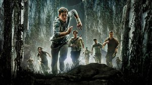 Maze Runner - Die Auserwählten im Labyrinth