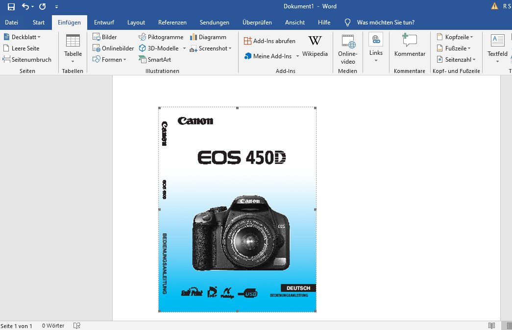 PDF in Word einfügen so funktioniert