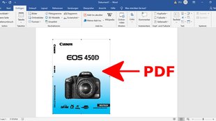 PDF in Word einfügen – so funktioniert's
