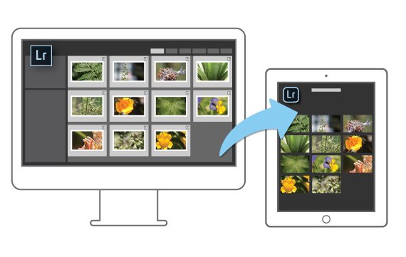 Adobe Lightroom auch fürs iPad erhältlich