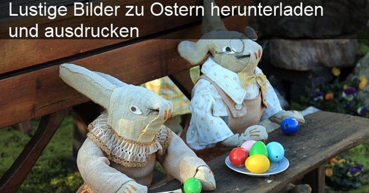 Lustige Spruche Bilder Kostenlos Downloaden