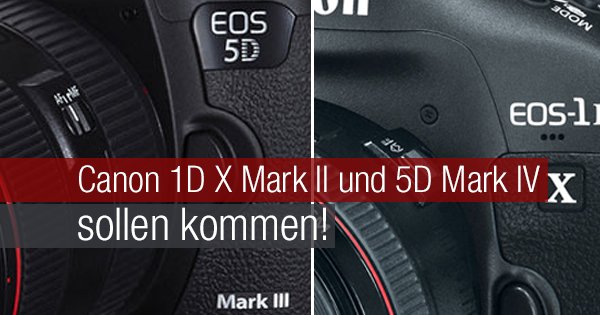 Canon 1D X Mark II und 5D Mark IV sollen kommen!