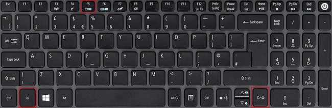 صفحه کلید لپ تاپ سیاه و سفید Acer FN