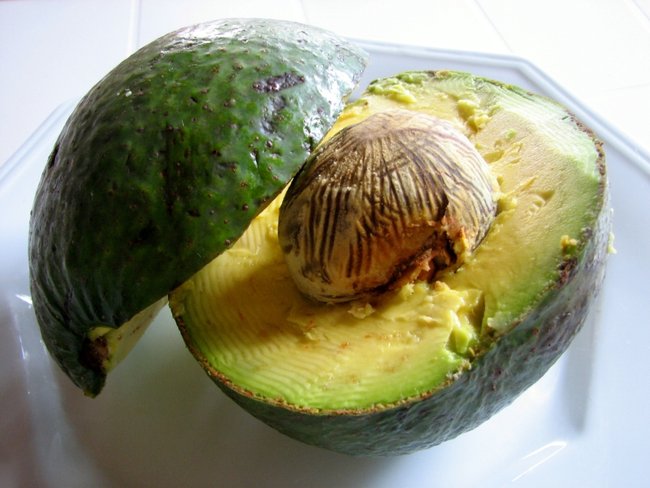 Avocado pflanzen: Wir sollten den Kern nicht verletzen!