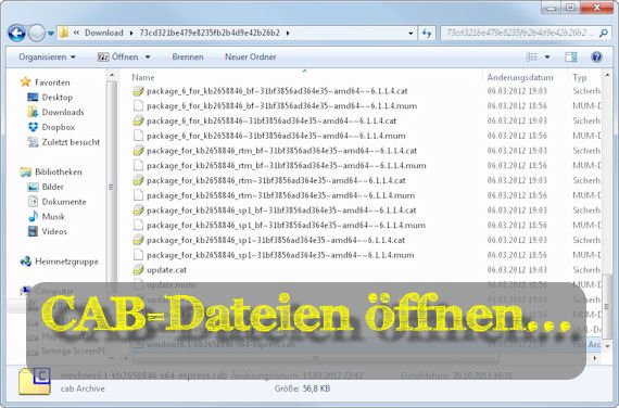 Was ist eine CAB-Datei und wie öffne ich sie?