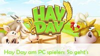 Hay Day für PC: So gibt's die Farm auf Windows